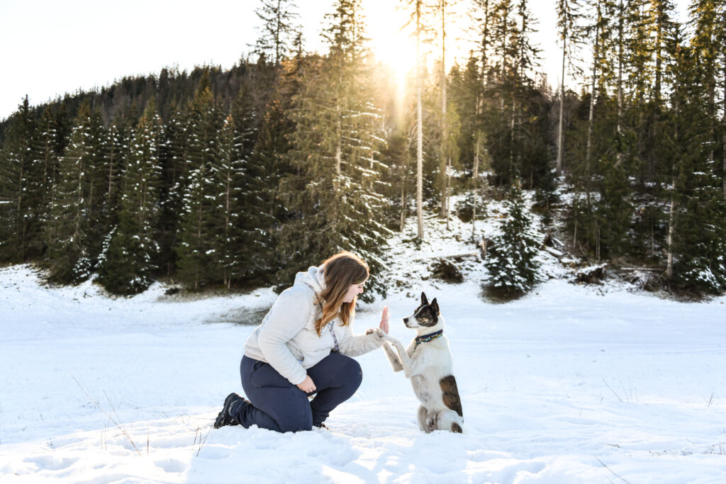 Photographe animaux chien Morez Jura Genève Lausanne Champagnole Lons-le-Saunier Besançon – femme jouant avec son chien dans la neige