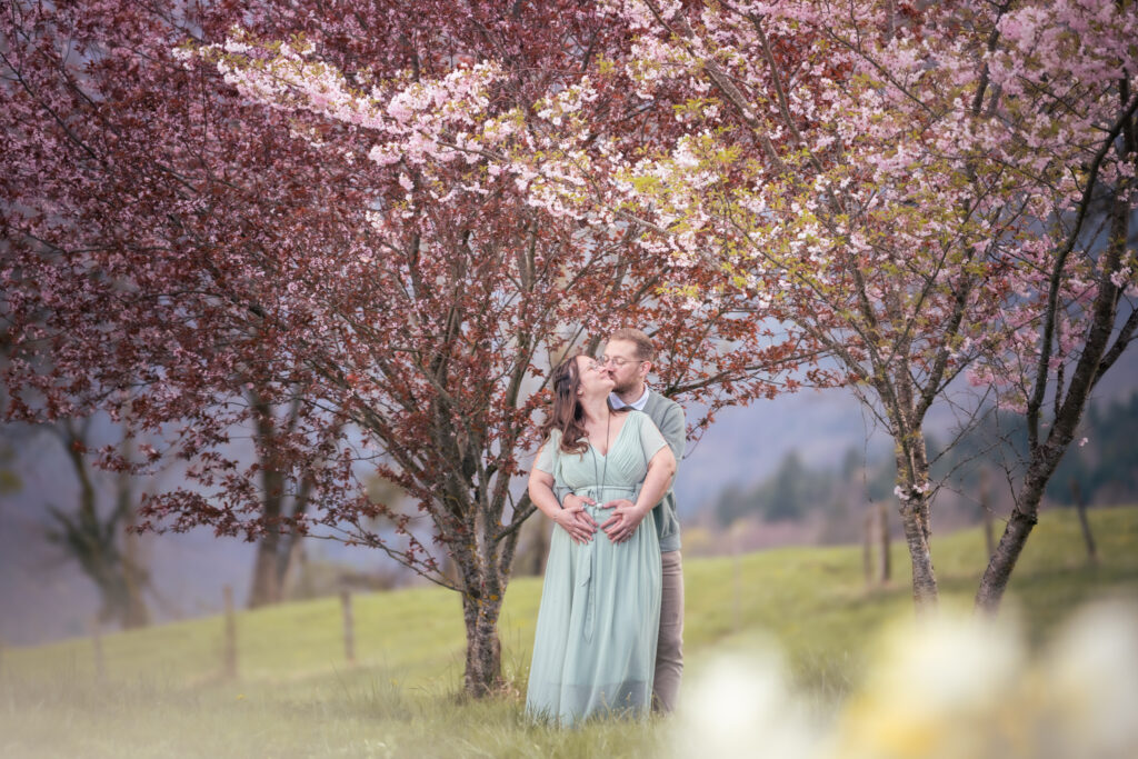 Photographe grossesse Jura – couple enlacé sous les cerisiers en fleurs près de Morbier