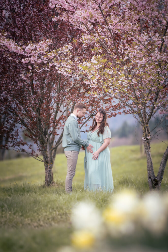 Photographe grossesse Jura – couple sous les cerisiers en fleurs dans une prairie près de Morbier